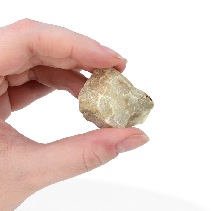 12PK Fine White Marble Specimens, 1" - Geologist Selected Samples - Eisco Labs