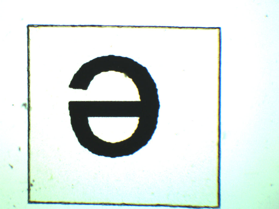 Wholemount of Letter 'e' - Prepared Microscope Slide - 75x25mm