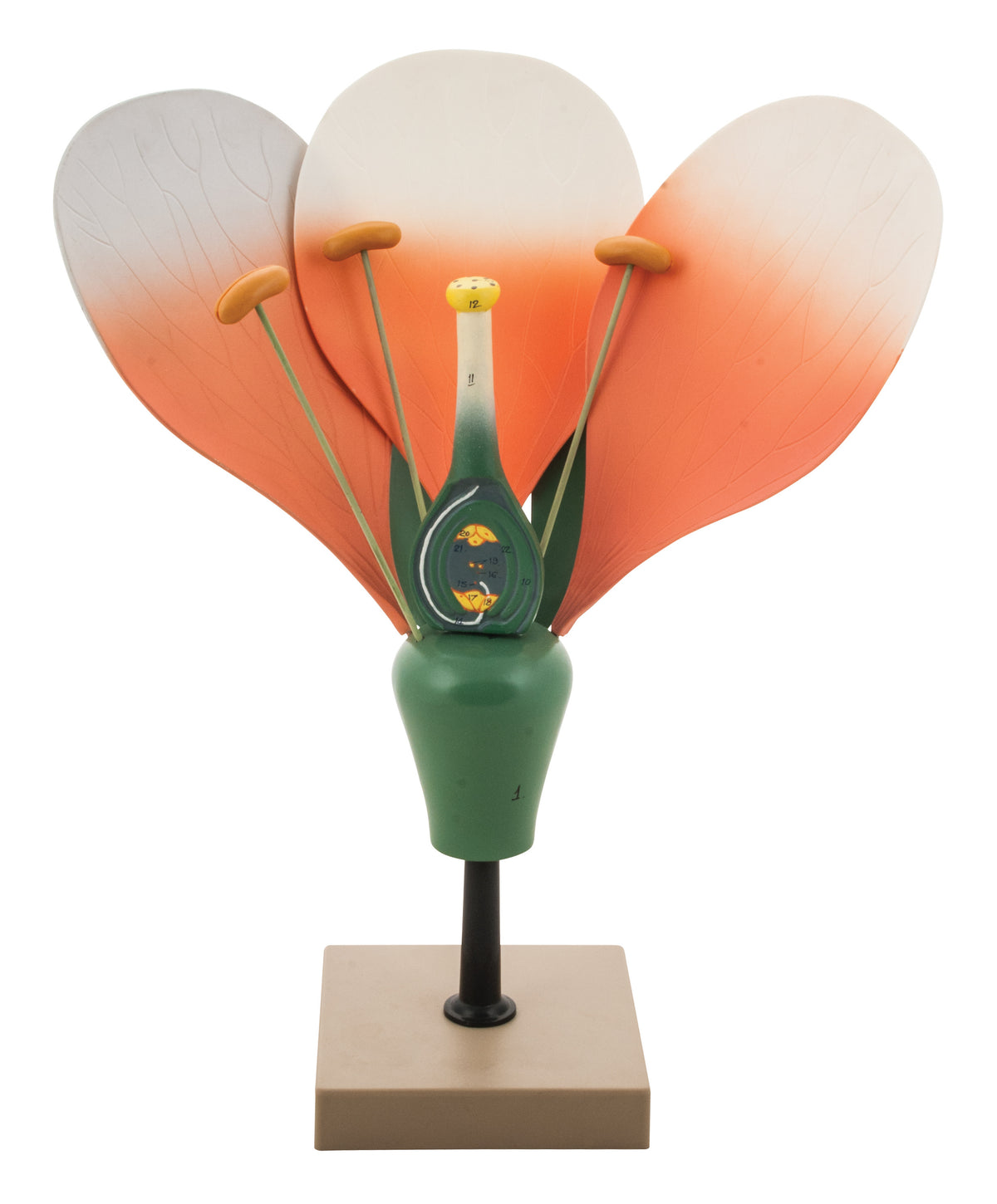 wnjznu3zd72f6dw9vel4_1200x1450