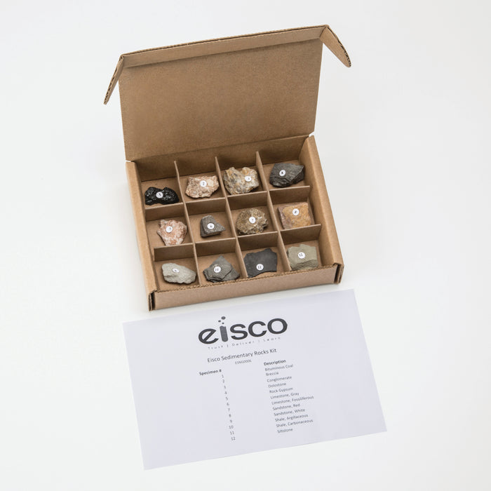 Eisco Sedimentary Rocks Kit - Contains 12 specimens measuring approx. 1" (3cm) (Discontinued)