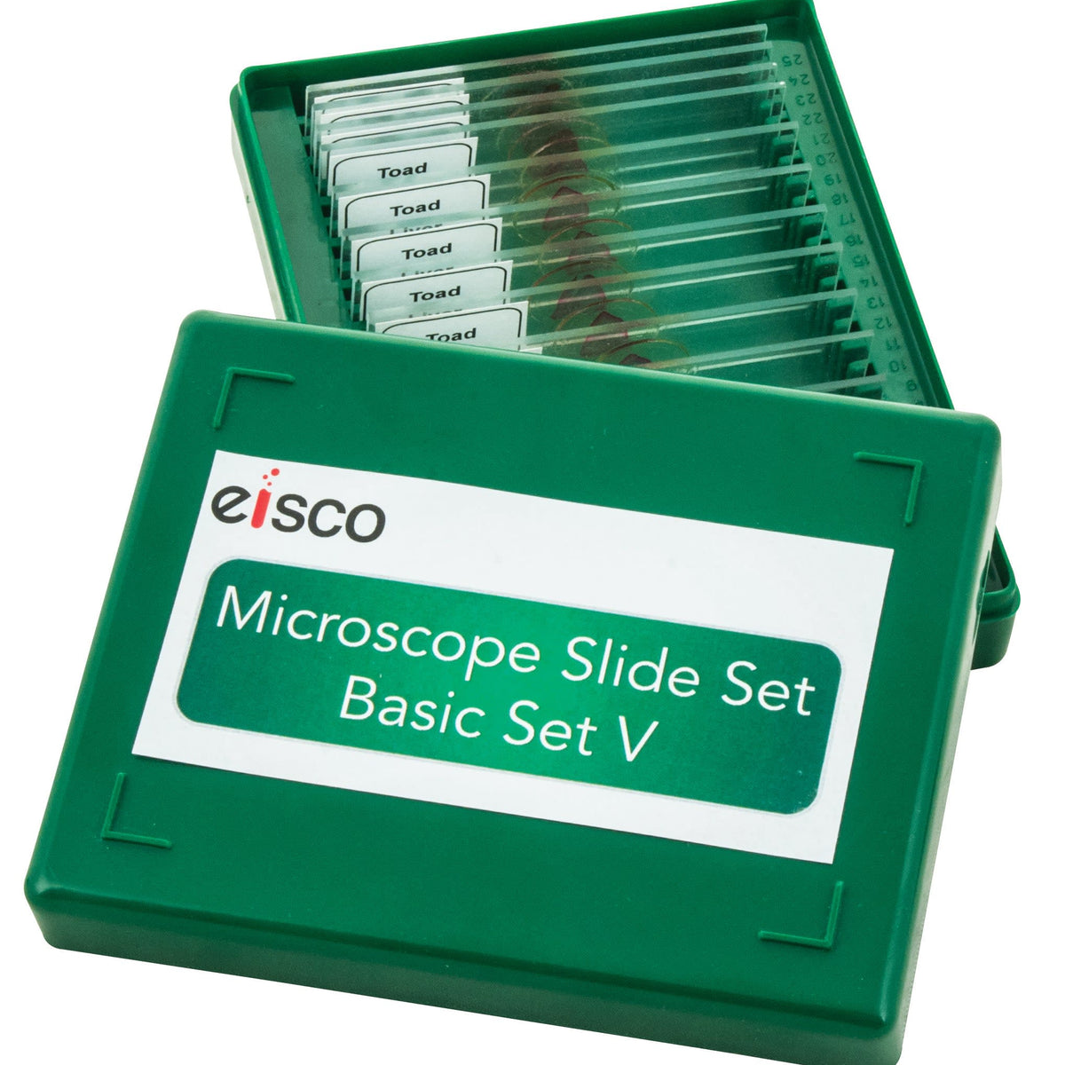 Microscope Slide Set - Basic Set No. V, Set of 15 — Eisco Labs