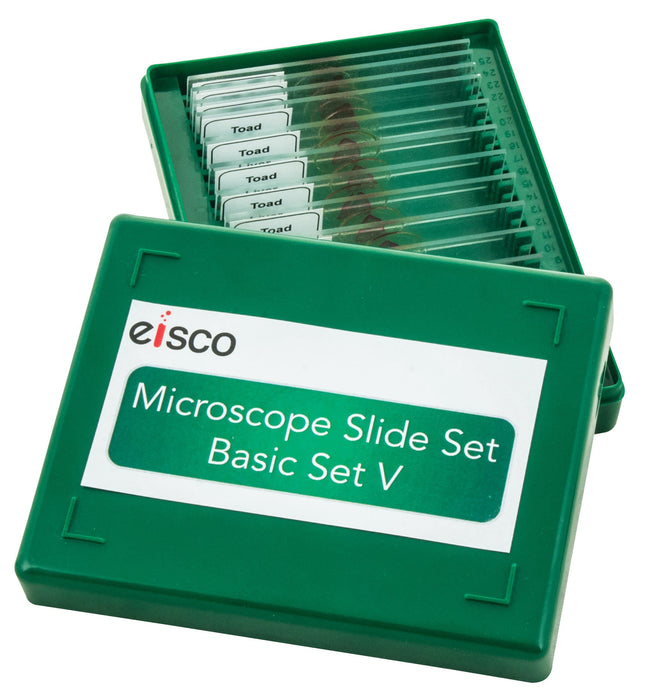 Microscope Slide Set - Basic Set No. V, Set of 15