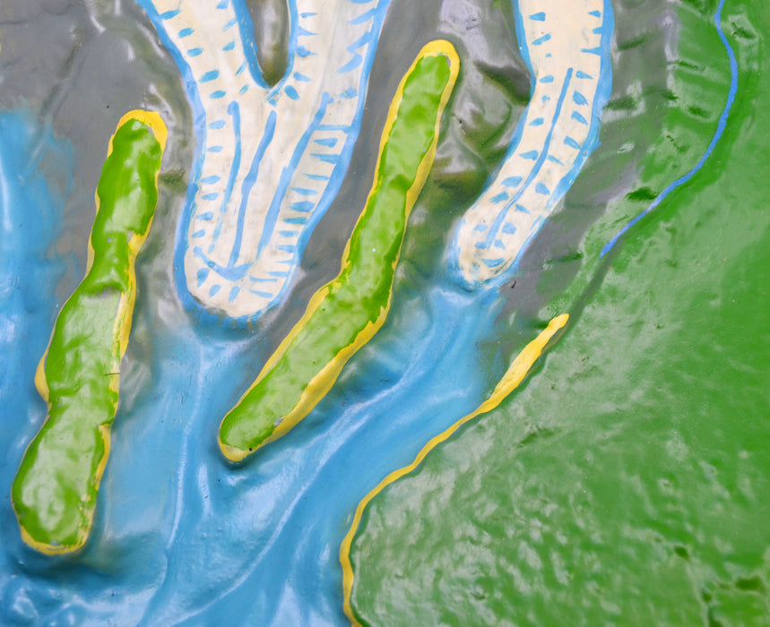 Comparative Terrain Landform Models, 23.5", Set of 2 - Full Color