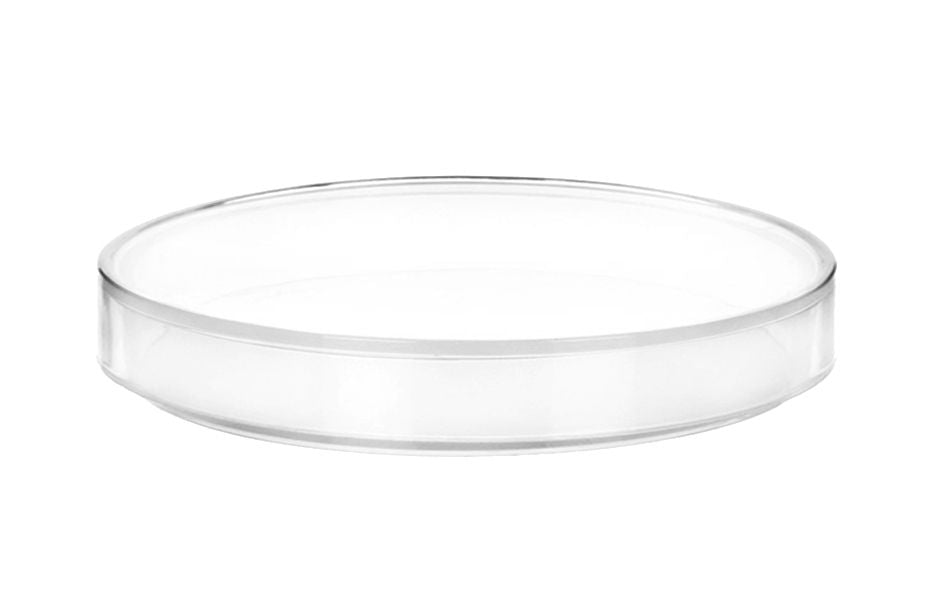 Petri Dish - 6" Diameter, 0.75" Depth - Polypropylene Plastic