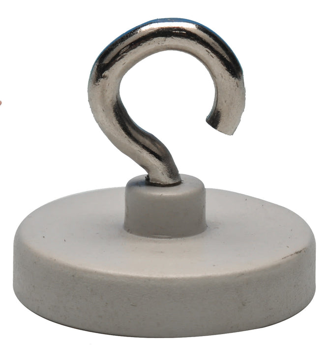 Magnet with hook