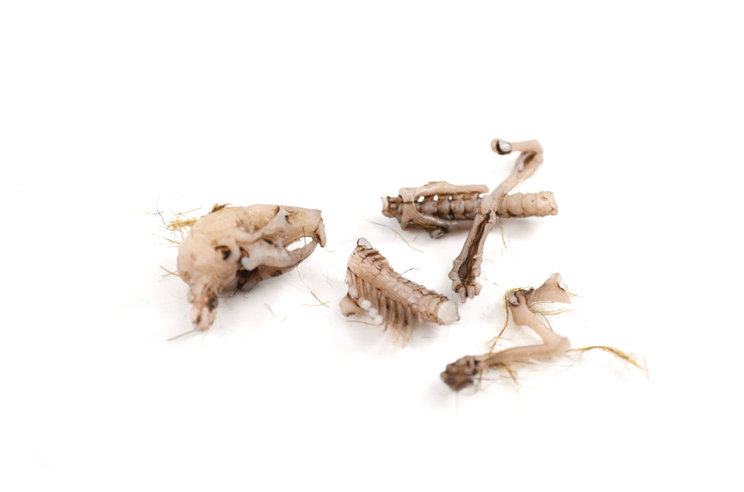 EISCO Simulated Owl Pellet - Mouse, approx.  3”x1.5”