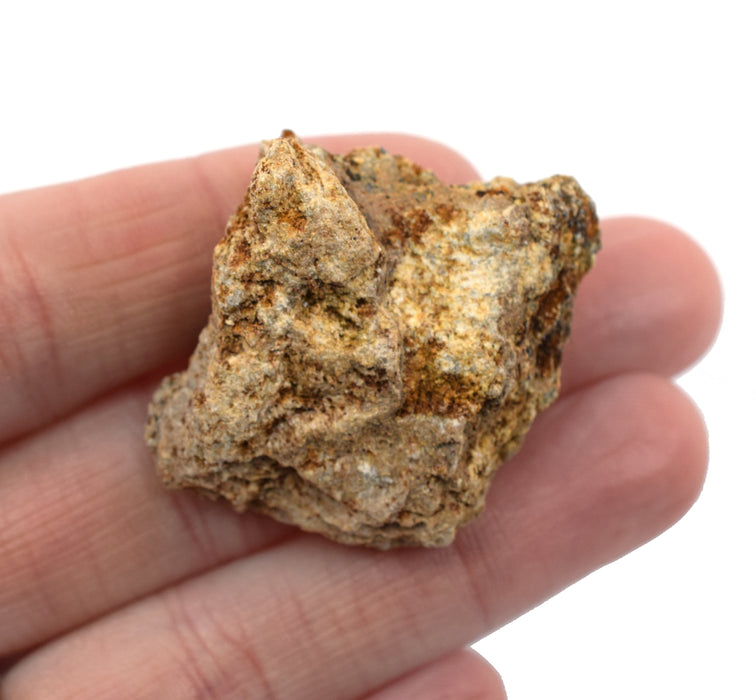 12PK Raw Soapstone, Mineral Specimens - Approx. 1" - Geologist Selected & Hand Processed - Great for Science Classrooms - Class Pack - Eisco Labs