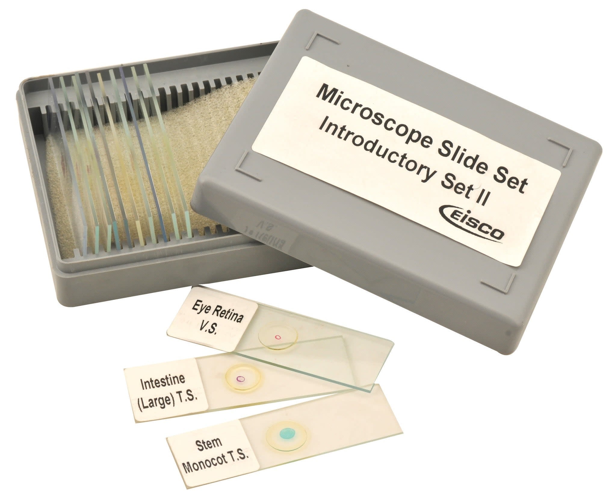 Microscope Slide Set - Introductory Set No. II, Set of 12 — Eisco Labs