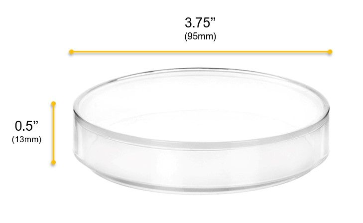 Petri Dish - 3.75" Diameter, 0.5" Depth - Polypropylene Plastic