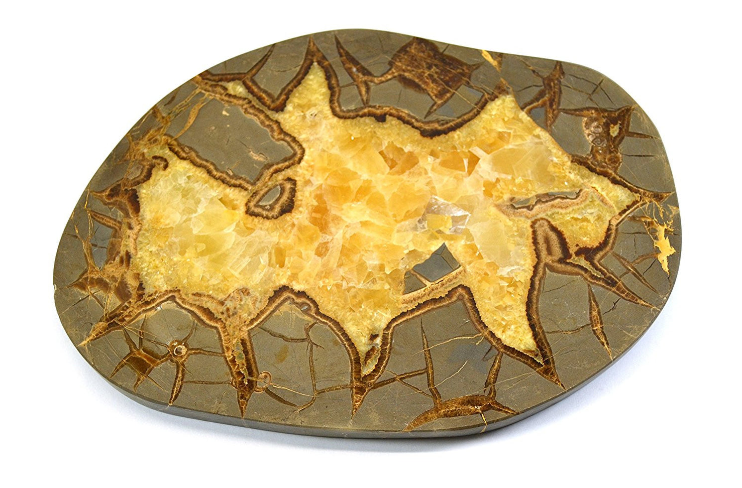 Septarian Calcite Plate, Polished, 8