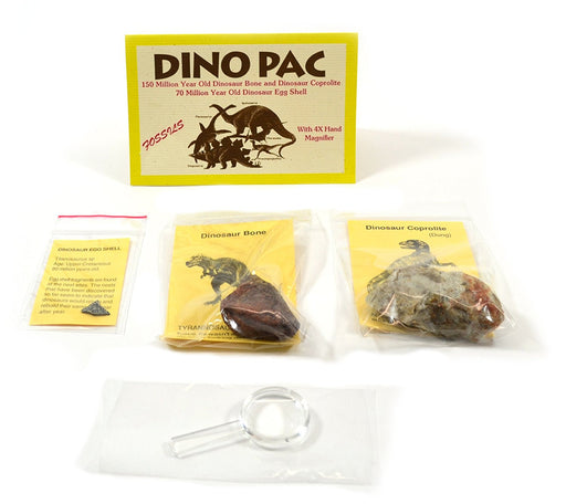 Rare Fossil Dino Pac - Real Dinosaur Egg, Bone, and Dung Fossils with Info Cards, Geologic Timescale, and 4X Magnifier