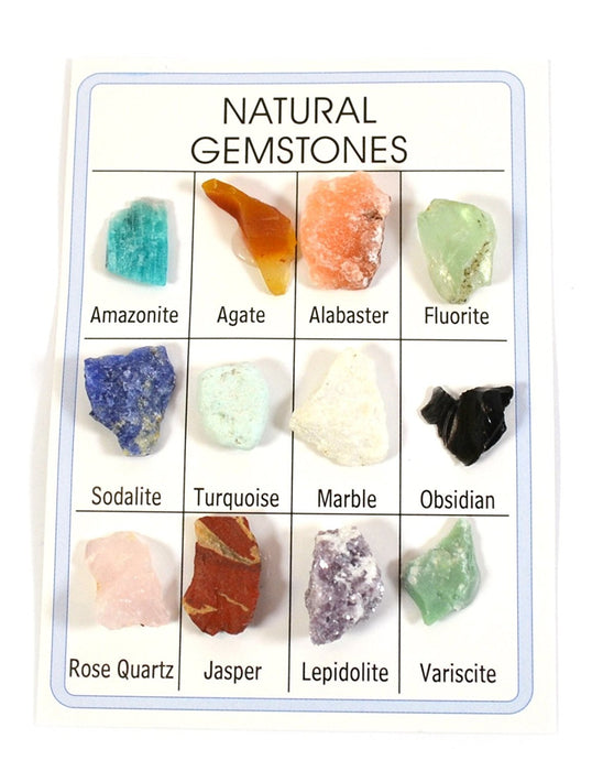 Pocket Reference Natural Gemstone Card with 12 Identified Specimens, 1cm Each