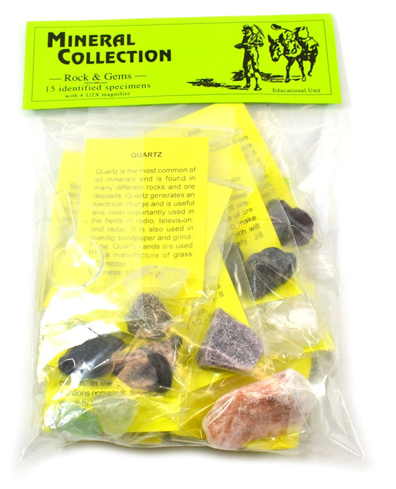 Premium Mineral Collection with 15 Identified Specimens and 4.5x Hand Lens