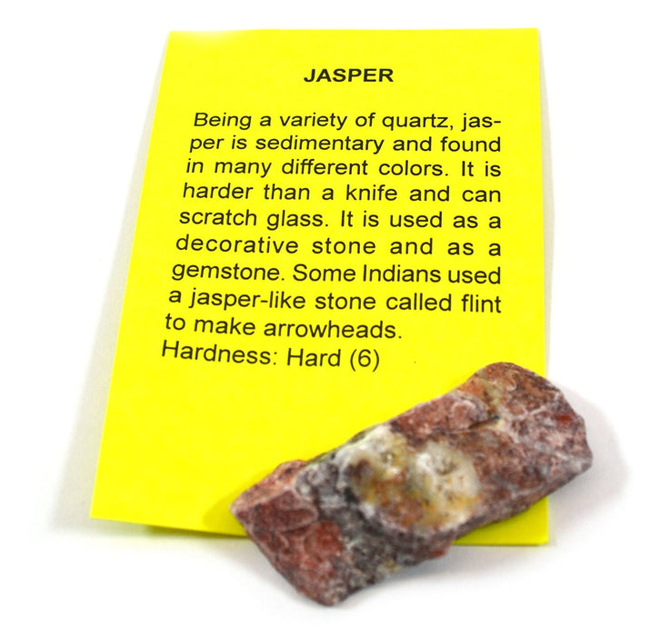 Premium Mineral Collection with 15 Identified Specimens and 4.5x Hand Lens