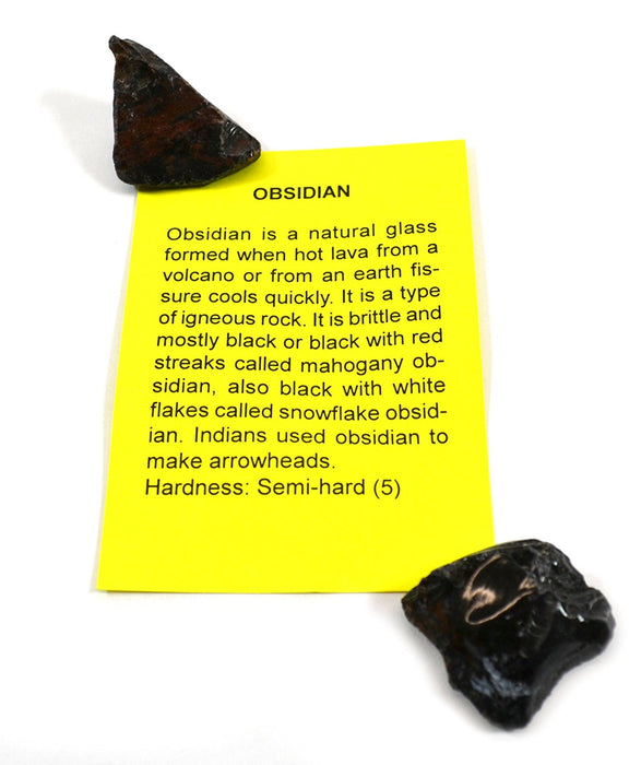 Premium Mineral Collection with 15 Identified Specimens and 4.5x Hand Lens