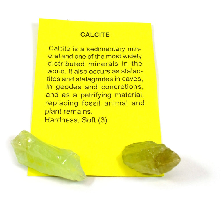 Premium Mineral Collection with 15 Identified Specimens and 4.5x Hand Lens