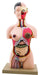 Half Size Human Torso 28 Parts