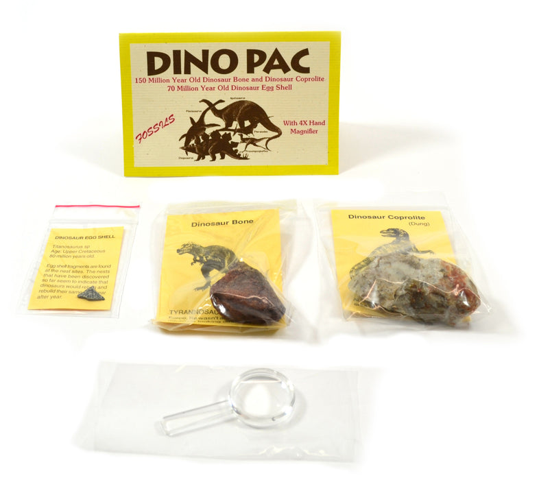 Rare Fossil Dino Pac