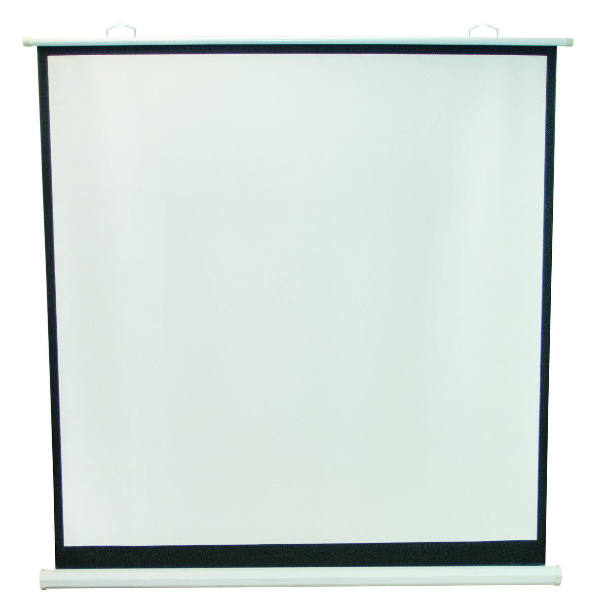 Projection Screen 45? x 80? — Eisco Labs