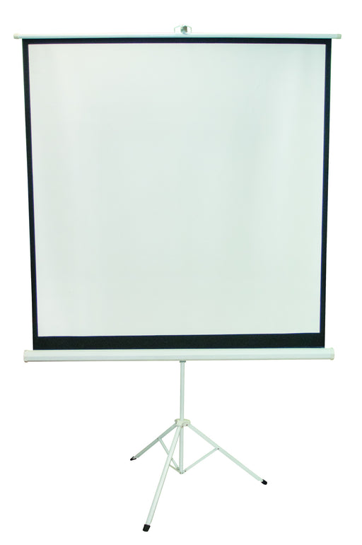 Projection Screen 84? x 84?