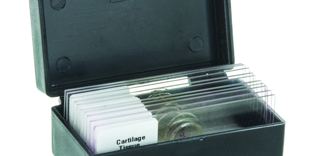EISCO Slide Box, Polystyrene, 10 Slides — Eisco Labs