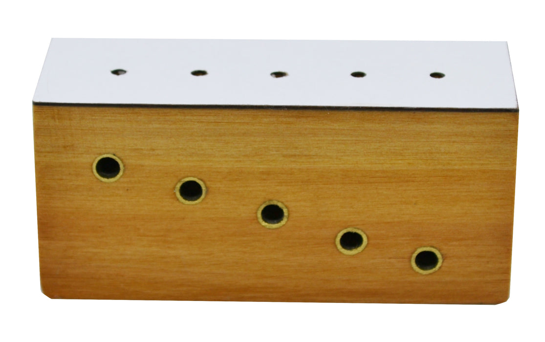 Hardwood Insect Pinning Block, Contains 5 Holes with Different Heights ...