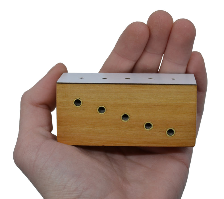 Hardwood Insect Pinning Block, Contains 5 Holes with Different Heights for Pins - Eisco Labs