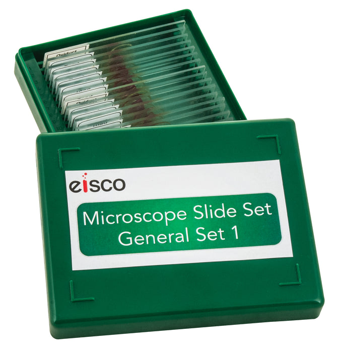 Microscope Slide Set - General Set No. I, Set of 25