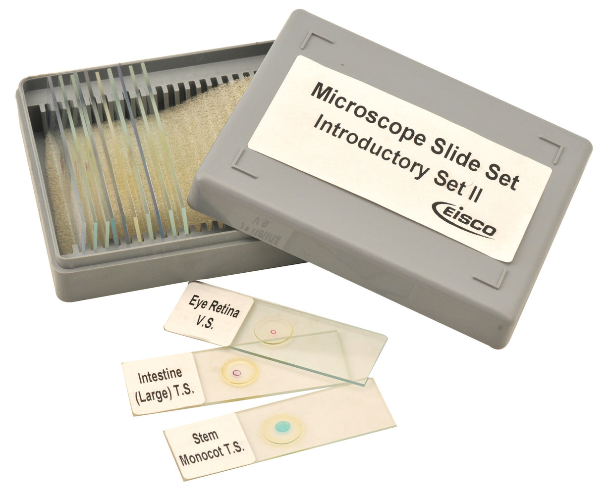 Microscope Slide Set - Introductory Set No. II, Set of 12