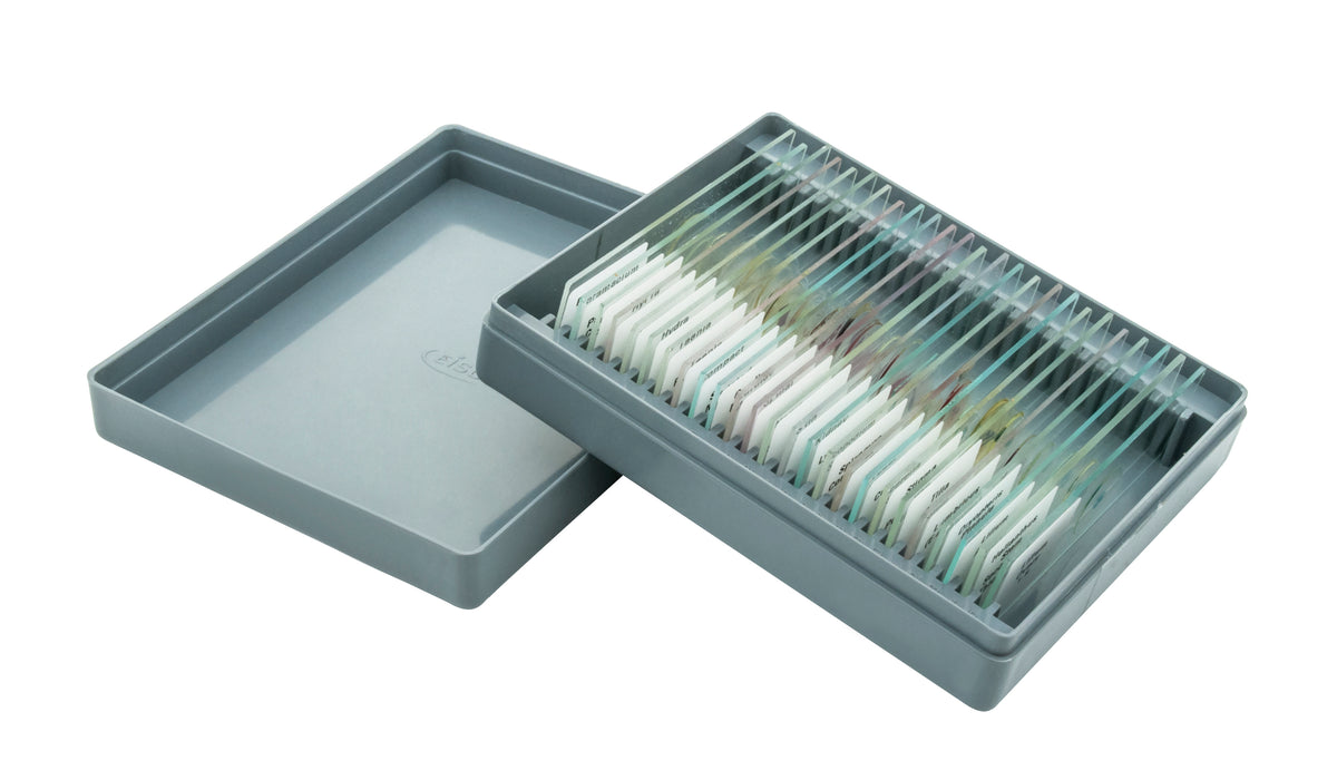 Microscope Slide Set - Biology, Set of 25