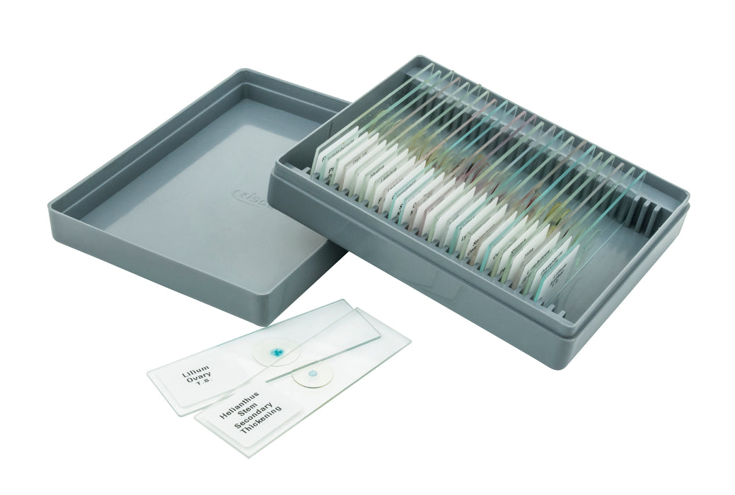 Microscope Slide Set - Biology, Set of 25
