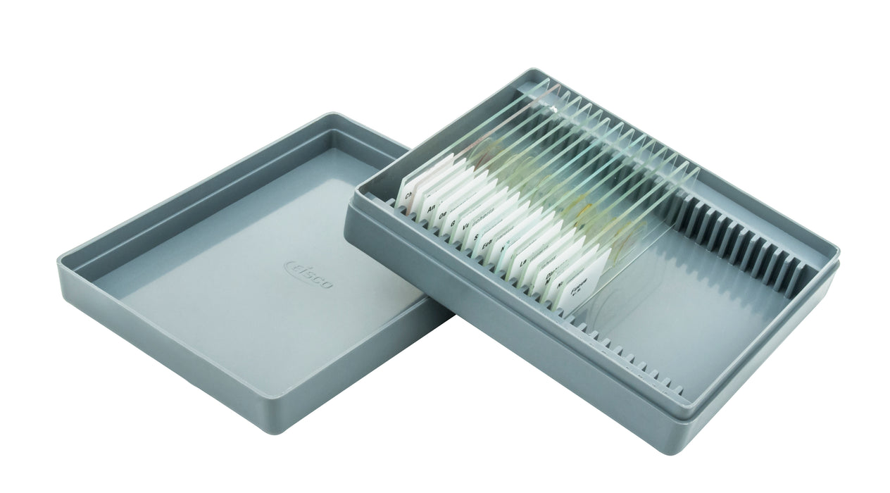 Microscope Slide Set Algae Survey Slide Set No VII, set of 15 Slides