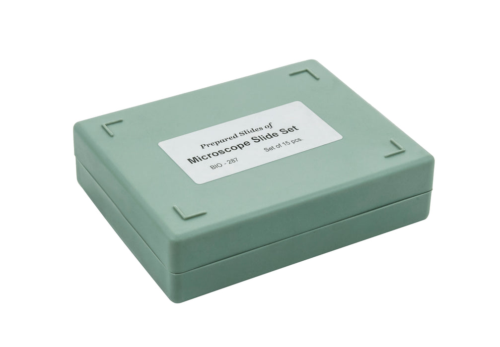 Microscope Slide Set Introductory Set No. VIII, Set of 15 Slides