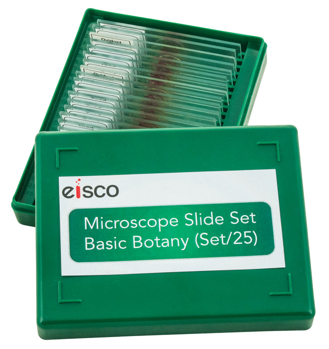 Microscope Slide Set - Basic Botany Models, Set of 25