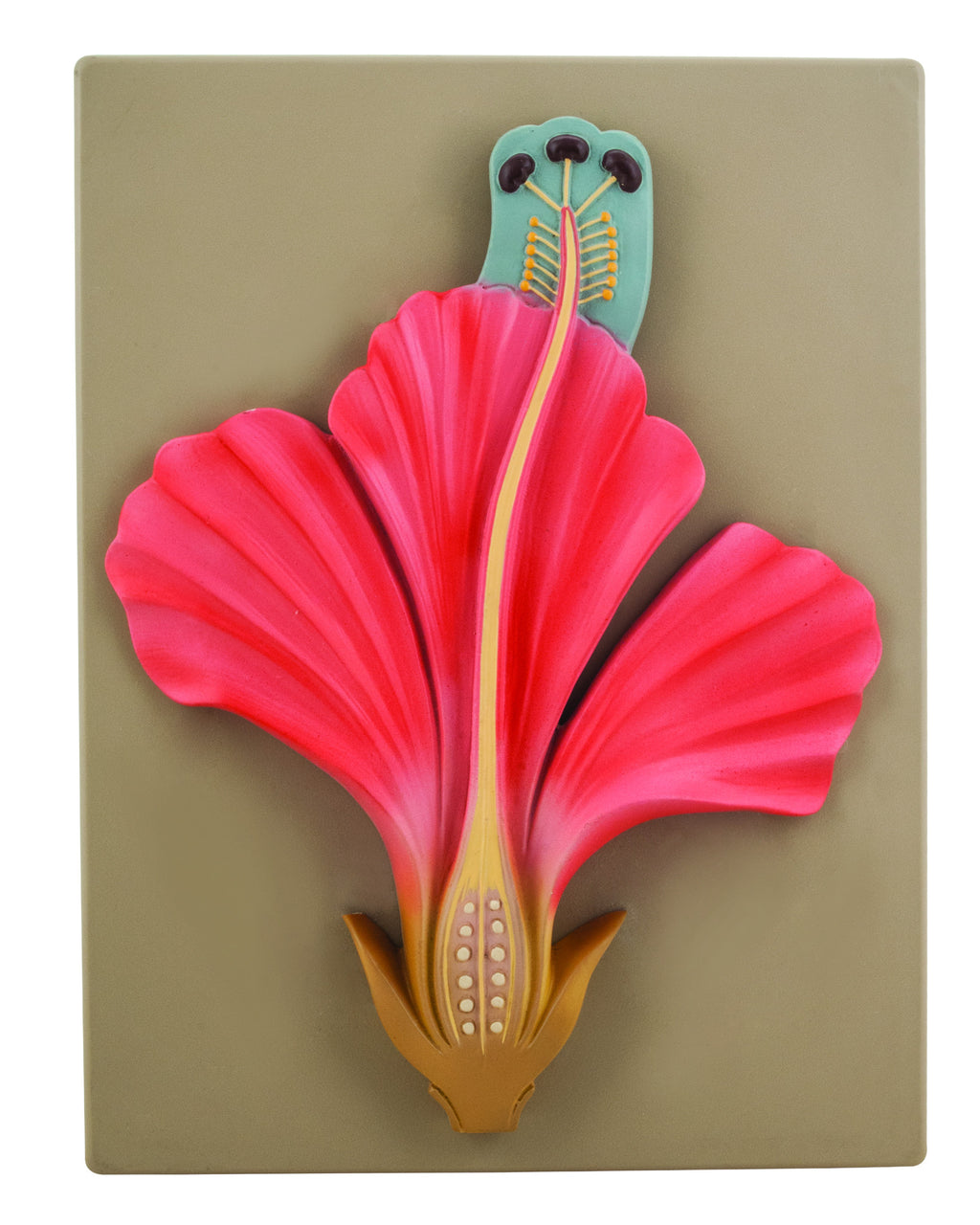 Botany Models — Eisco Labs