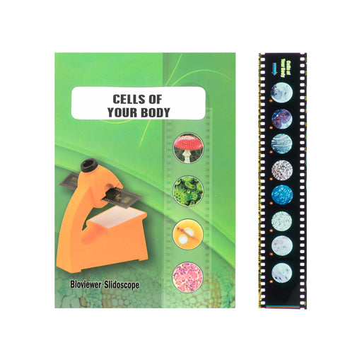 Bio Viewer Set - General - Cells of your Body