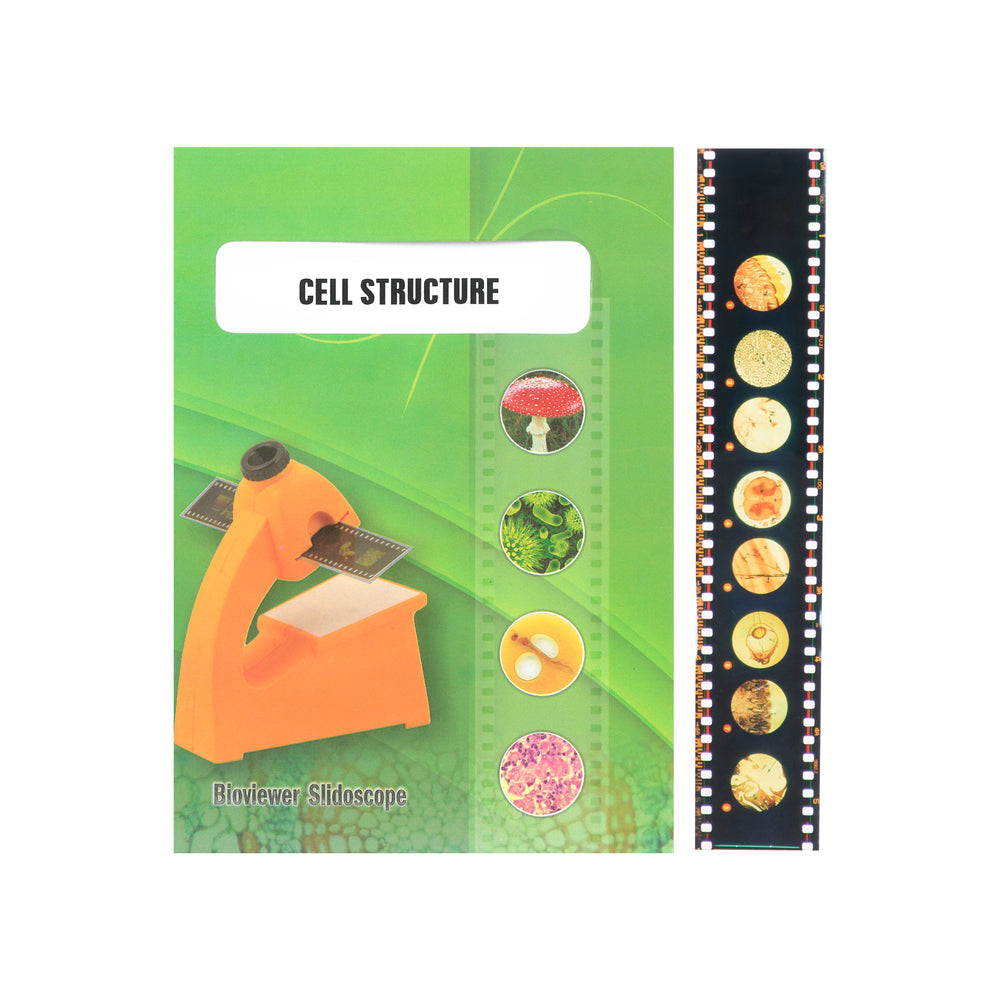 Bio Viewer Set - General - Cell Structure