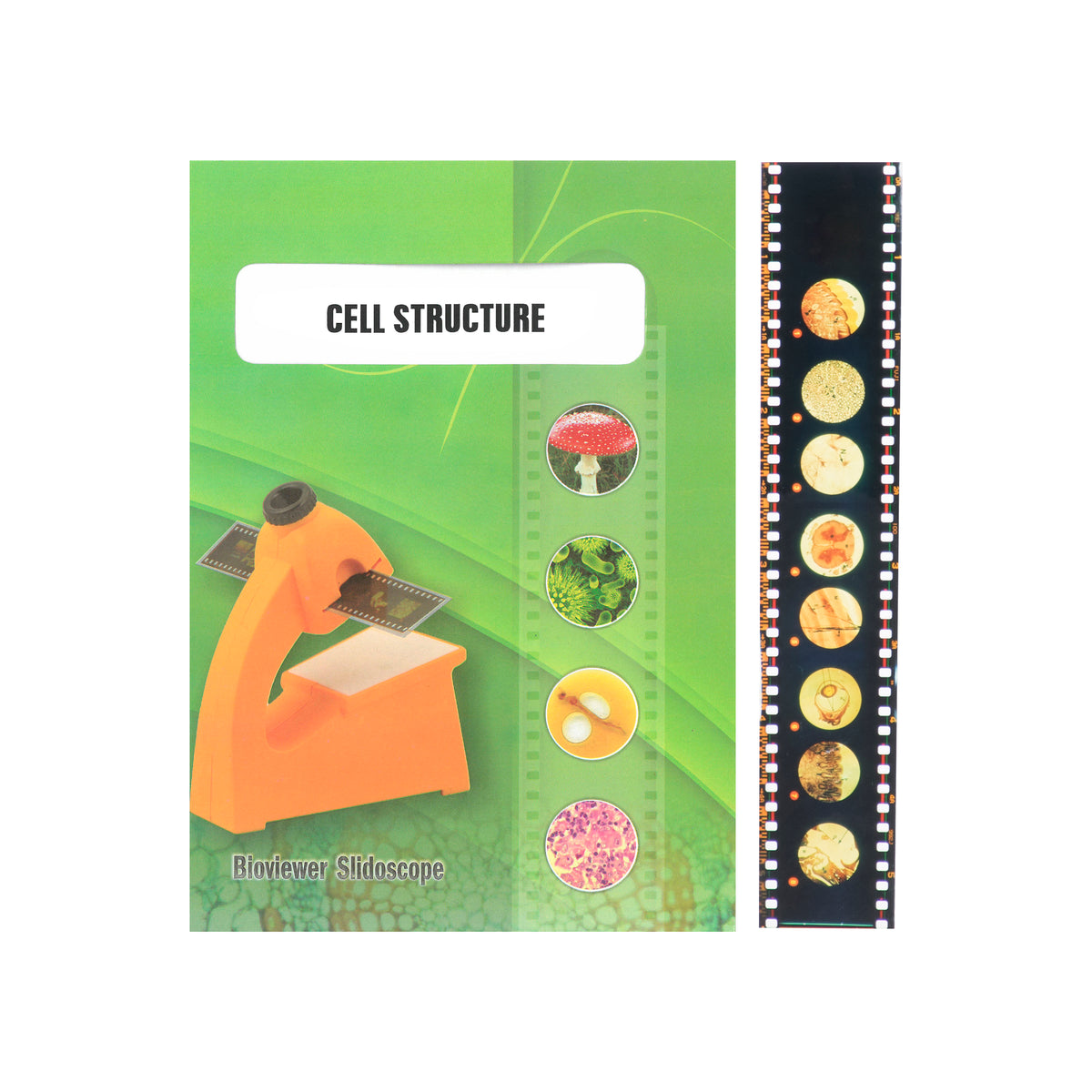 Bio Viewer Set - General - Cell Structure — Eisco Labs