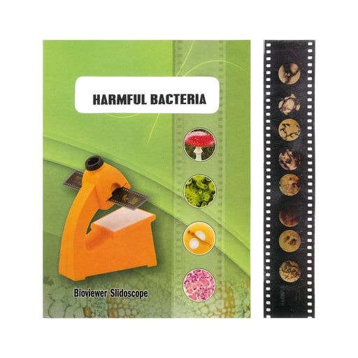 Bio Viewer Set - Bacteria, Protozoa & Virus - Harmful Bacteria