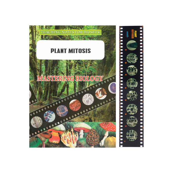 Bio Viewer Set - Plants & Fungi - Plant Mitosis