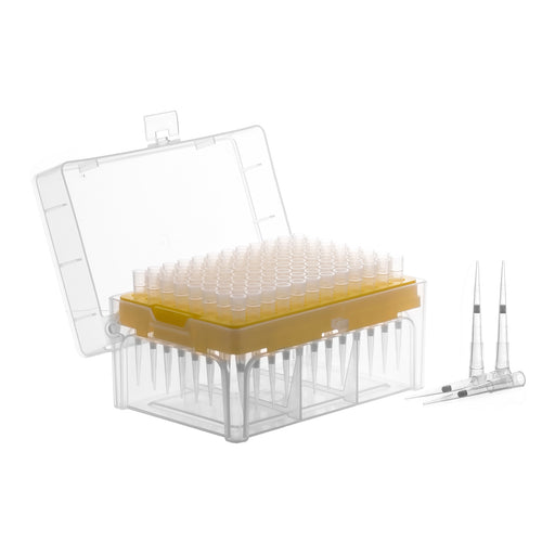Racked Filter Tips, 20µl - 96 Tips - Graduated - Hydrophobic, Polyethylene Filtered Tips - Sterile, Autoclavable - Eisco Labs