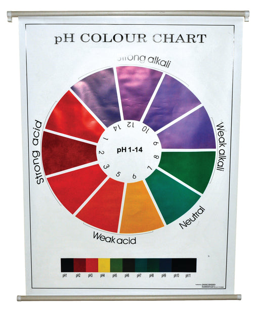 pH Color Chart, 29x39" - Polyart Plastic Sheet, with Roller - Eisco Labs