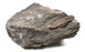 Eisco Hornfels Specimen (Metamorphic Rock), Approx. 1" (3cm) - Pack of 12