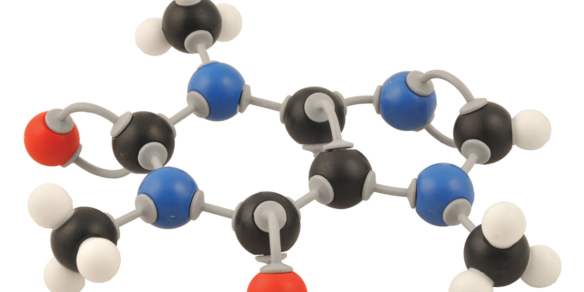 Caffeine Model — Eisco Labs