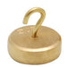 Individual Hooked Weights - Brass, 20g