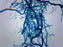 Moss Protonema - Wholemount - Prepared Microscope Slide - 75x25mm