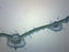 Syringa Vulgaris Leaf - Prepared Microscope Slide - 75x25mm
