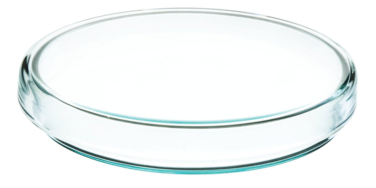 Petri Dish - 100 x 15mm - Soda Glass — Eisco Labs