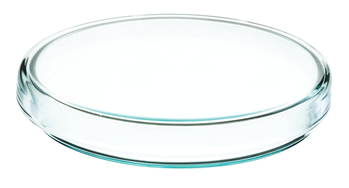 Petri Dish - 100 x 15mm - Soda Glass — Eisco Labs