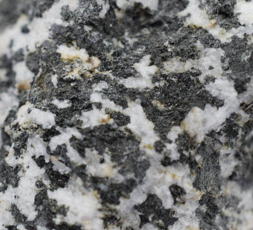 Raw Diorite, Igneous Rock Specimen - Approx. 1"